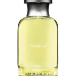ادوپرفیوم ویکند مدل BURBERRY حجم 100 میلی‌لیتر
